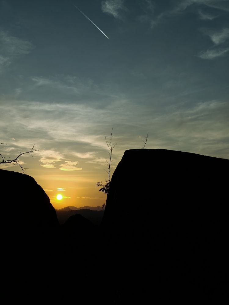 Photo #11455669
