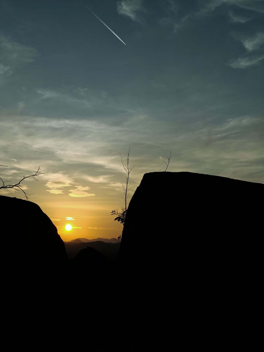 Photo #11455669