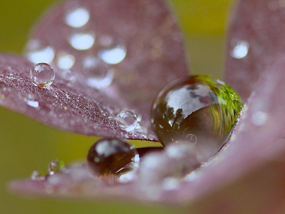 Photograph by Гагик Саркисян