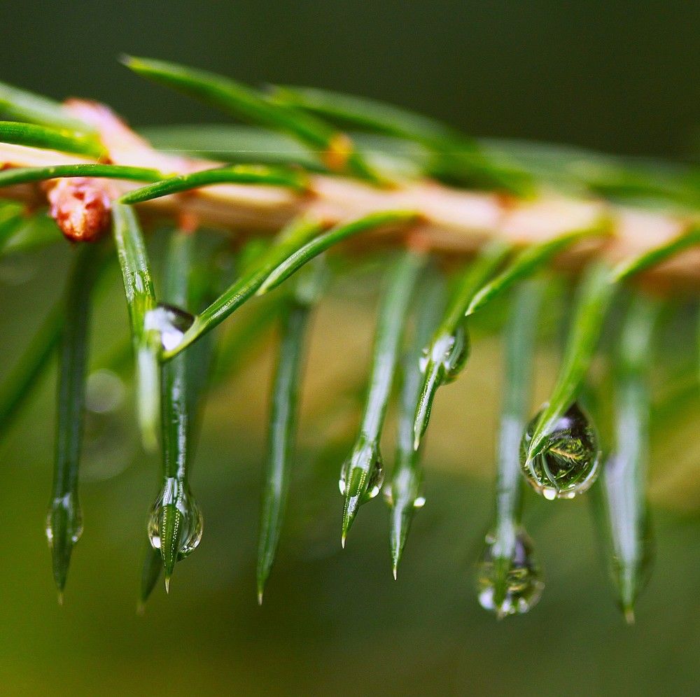 Photograph by Гагик Саркисян