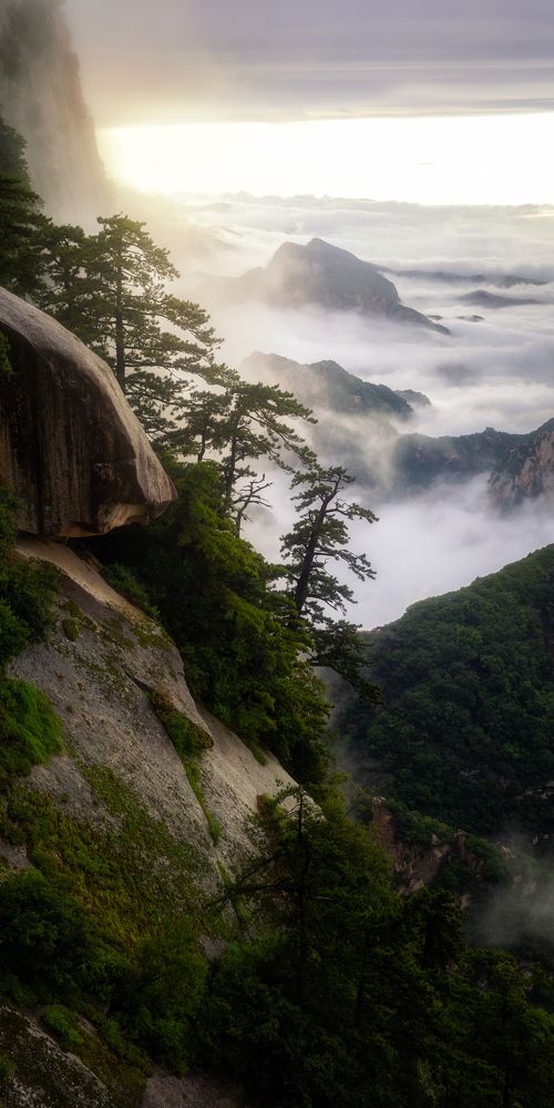 Photograph by Ni Bruce