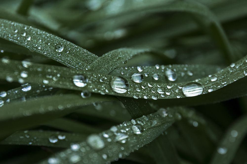 Фотография автора Логвинович Андрей