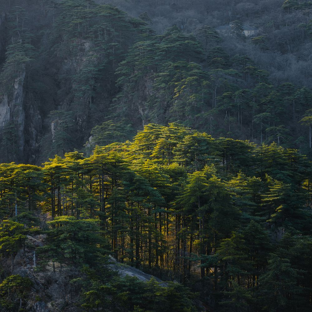 Photograph by Ni Bruce