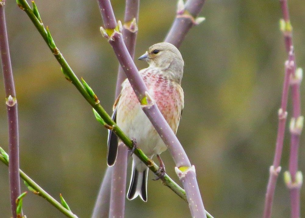 Photograph by Лариса Басова