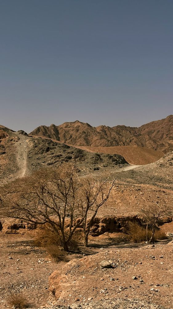 Photograph by Svetlana Garifullina