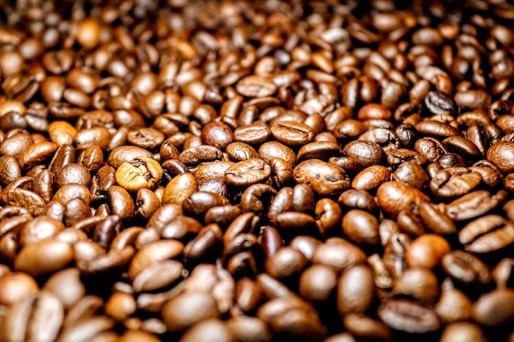 Photograph by volkan akan