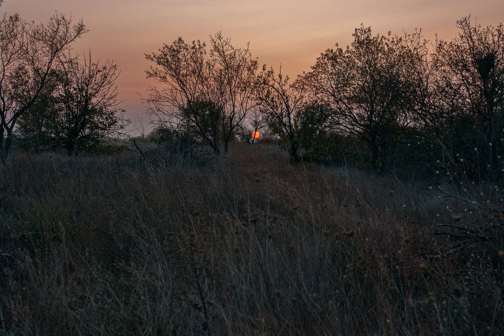 Photograph by Олег Ибрагимов