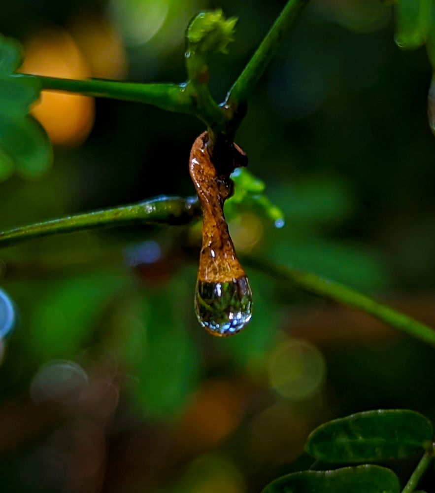 Photograph by SARAVANA MANICKAM