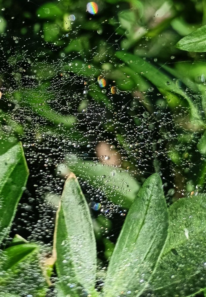 Photograph by Анастасия Горбачева