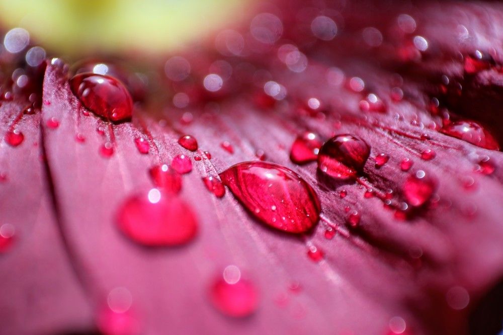 Photograph by volkan akan