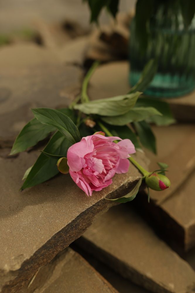 Photograph by Наталья Гусева