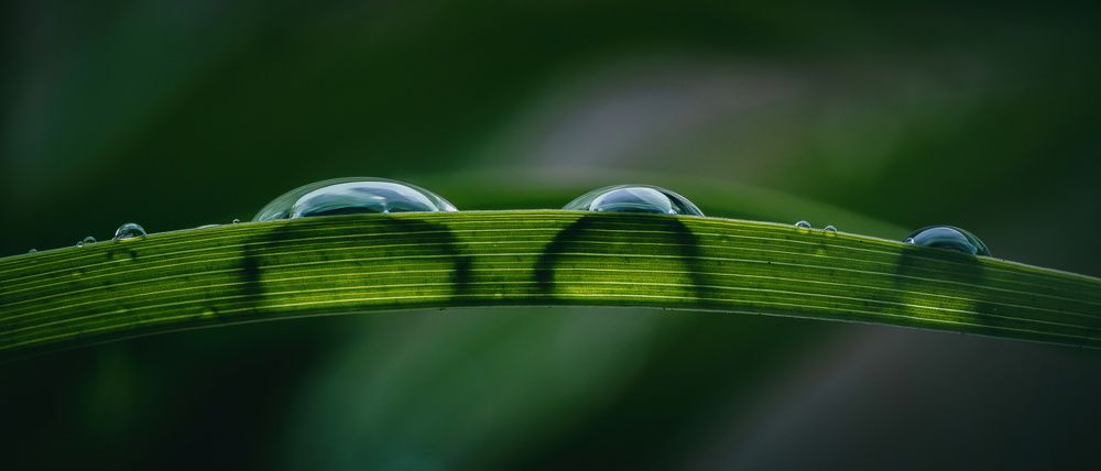 Photograph by Степан Ковыльчик