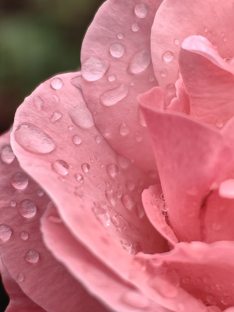 Photograph by Анастасия Доронкина