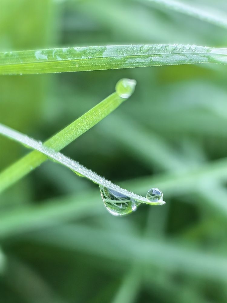 Photograph by Анастасия Доронкина