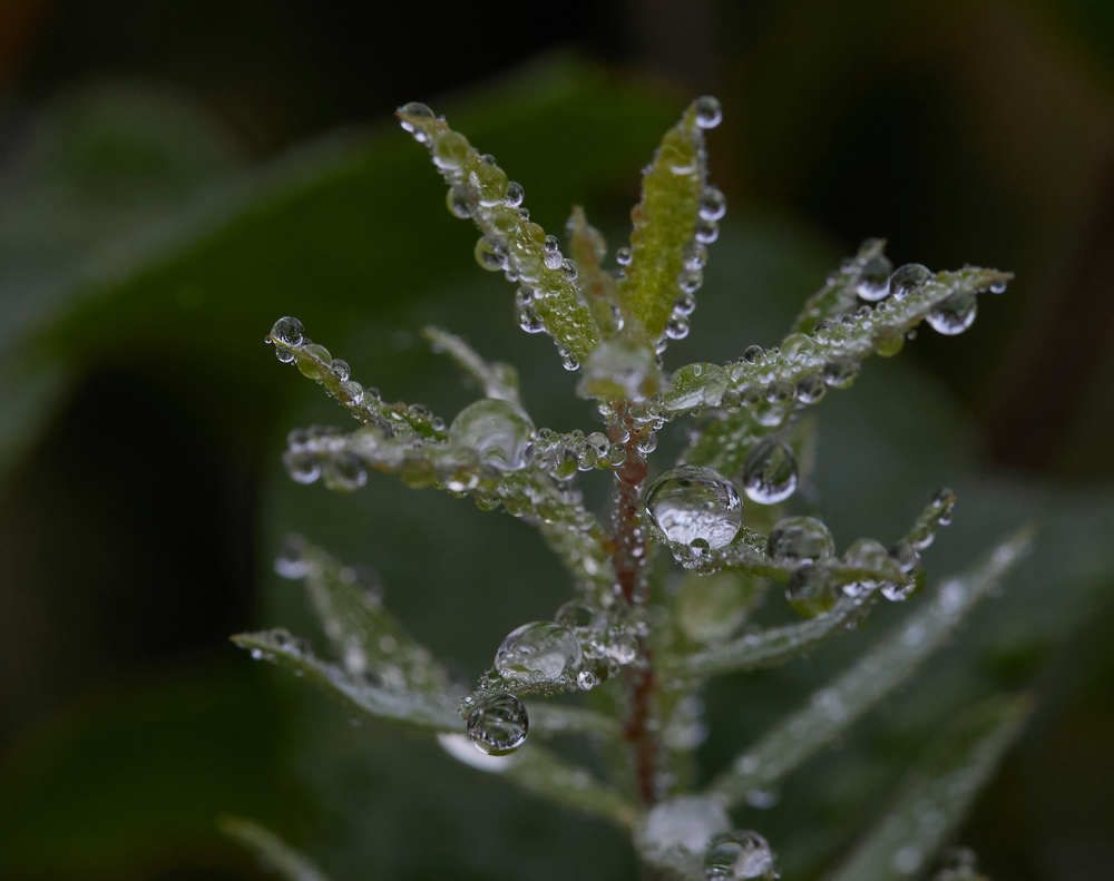 Фотография автора Ekaterina Palant