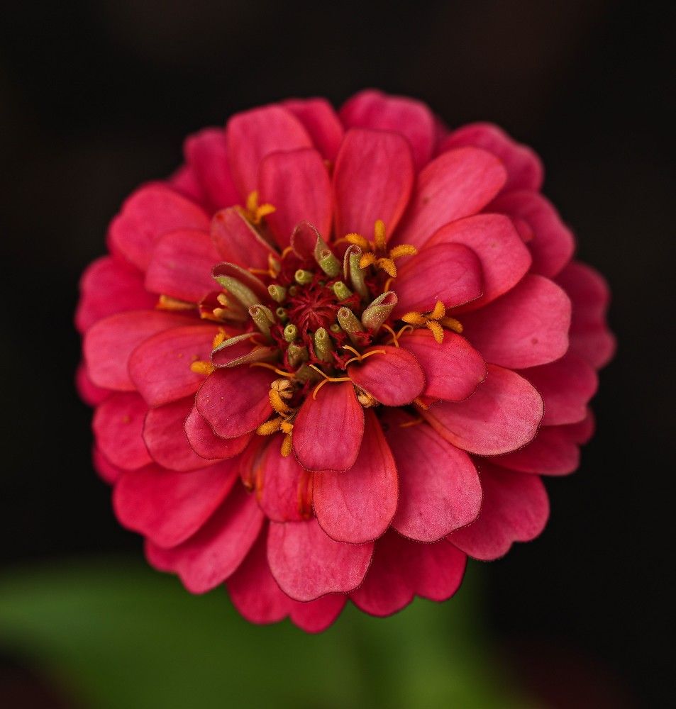 Photograph by Елена Одынец