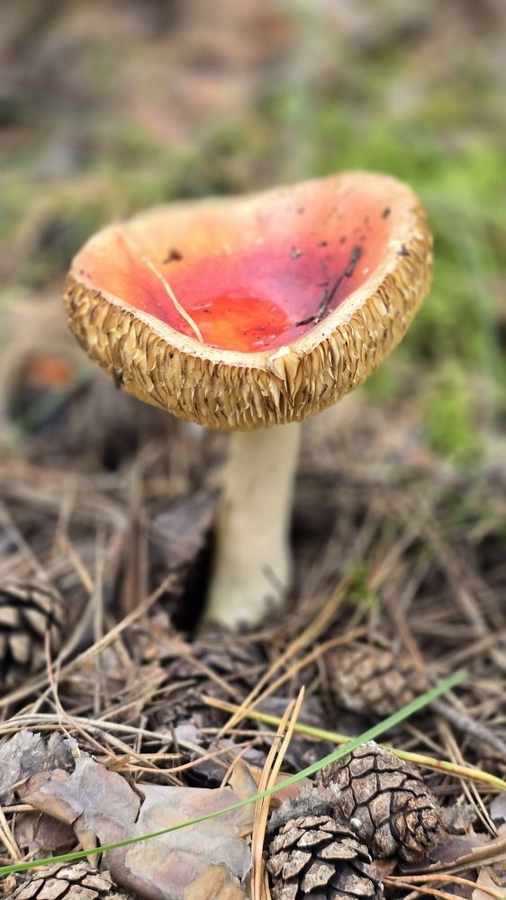 Photograph by Ольга Фомина