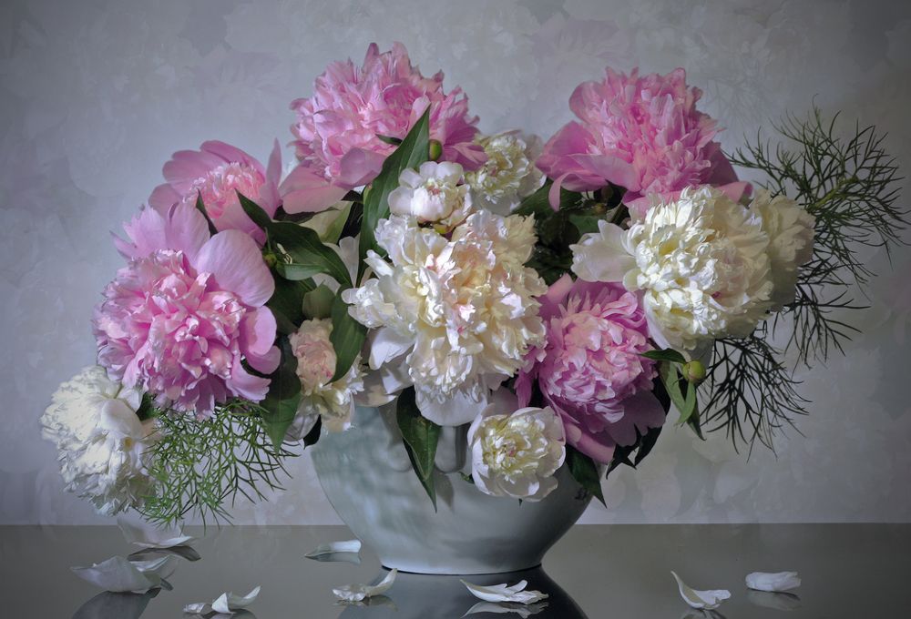 Photograph by Заболотская Ольга