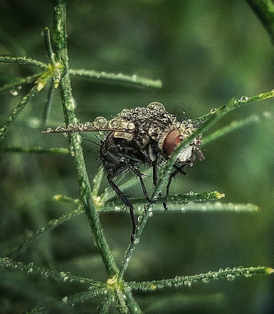 Photograph by Ольга Мартьянова