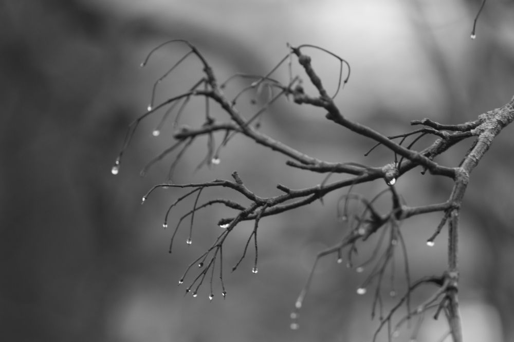 Photograph by Igors Rostikovs