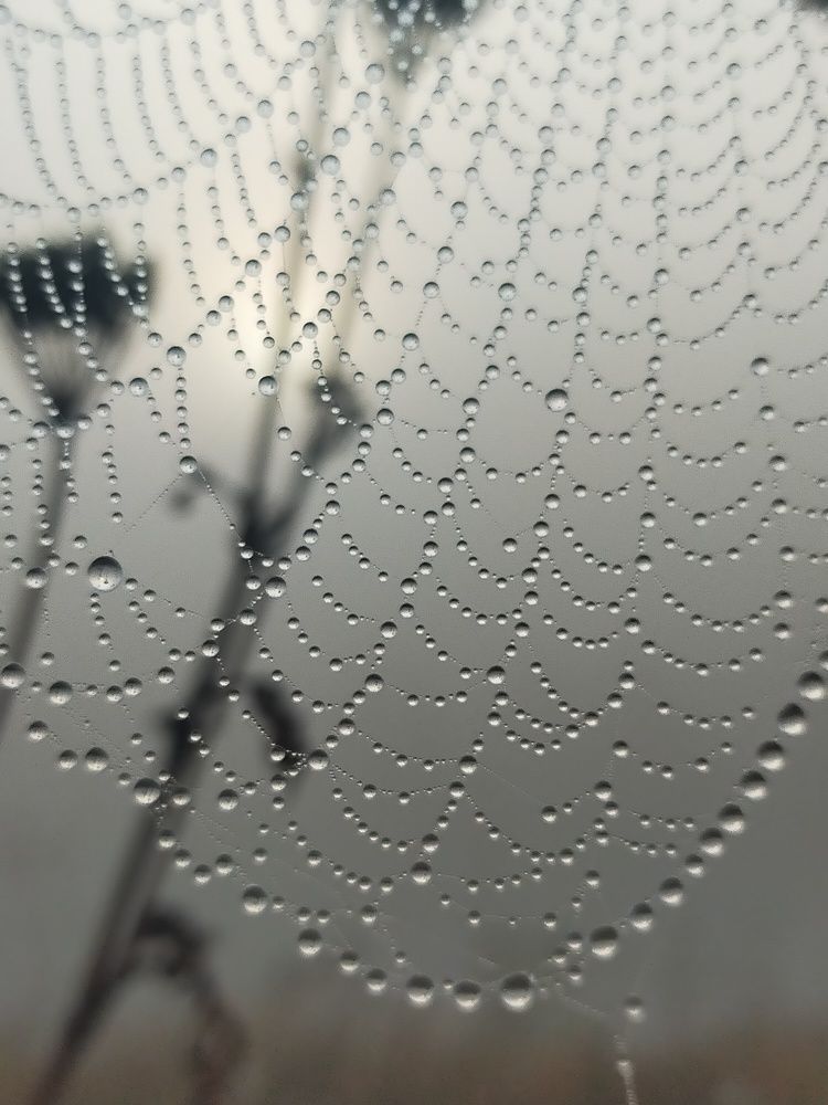 Photograph by Ольга Мартьянова