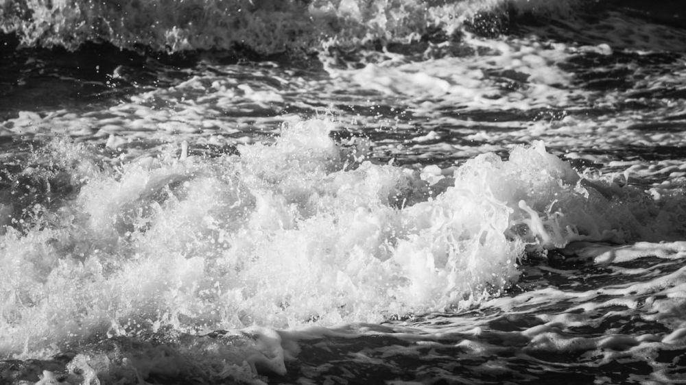 Photograph by Igors Rostikovs