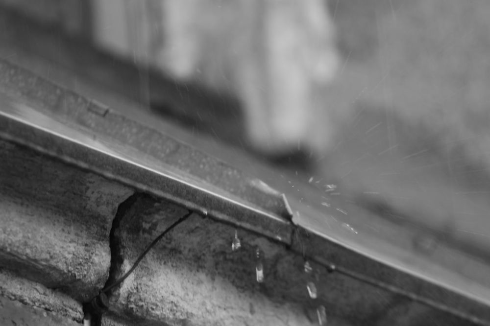 Photograph by Igors Rostikovs