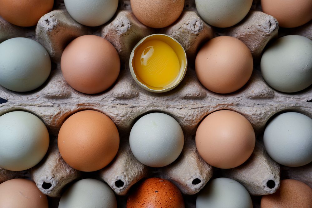 Photograph by Бодрягин Виталий