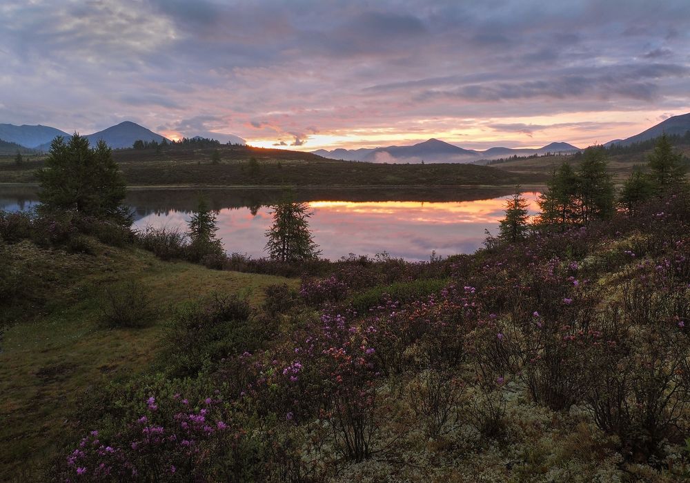 Перед восходом