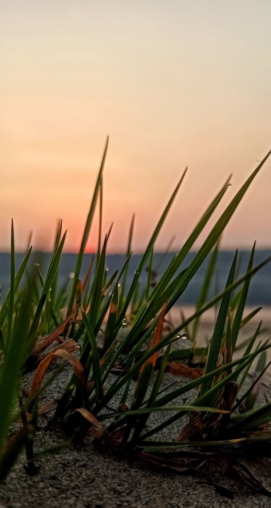 Фотография автора Евгения Владимировна