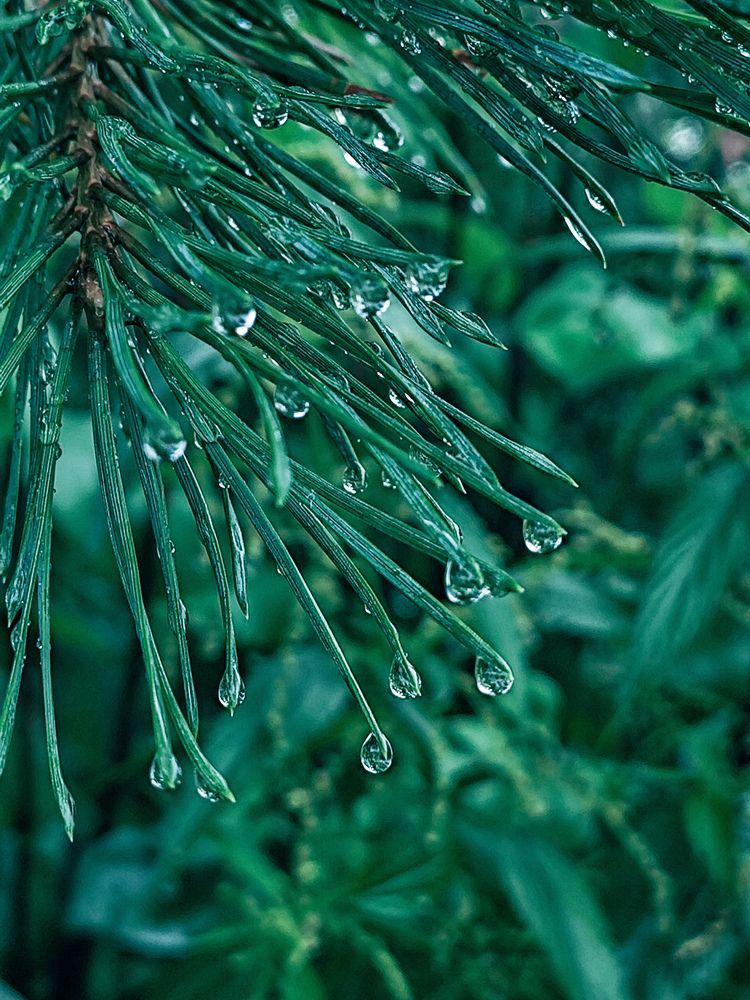 Фотография автора Евгения Владимировна