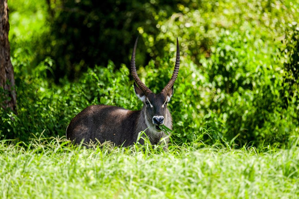 Photograph by Angelika Martko