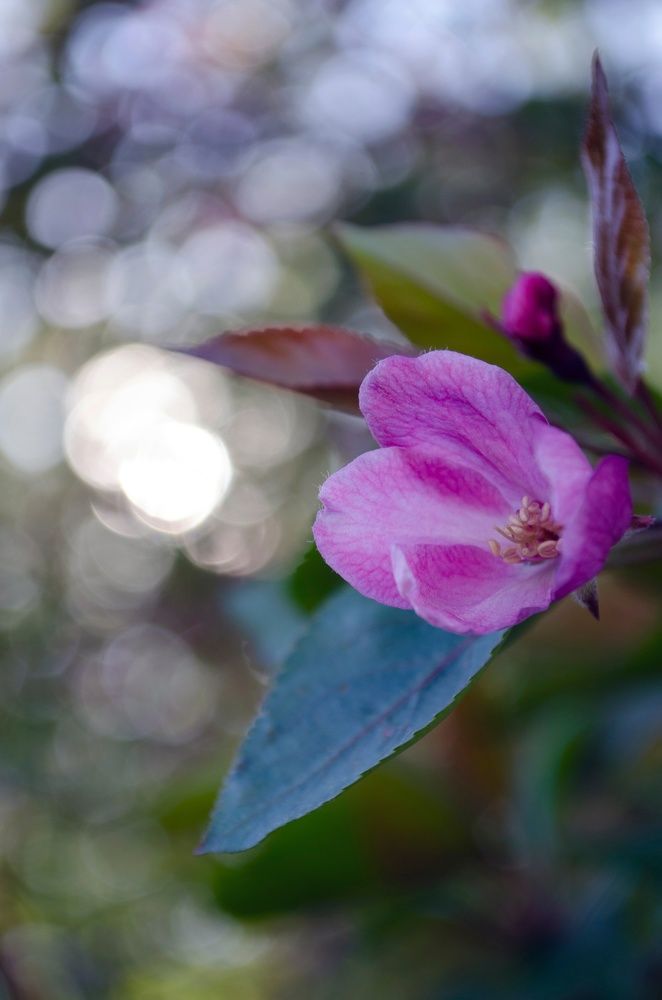 Photograph by Любовь Бусова