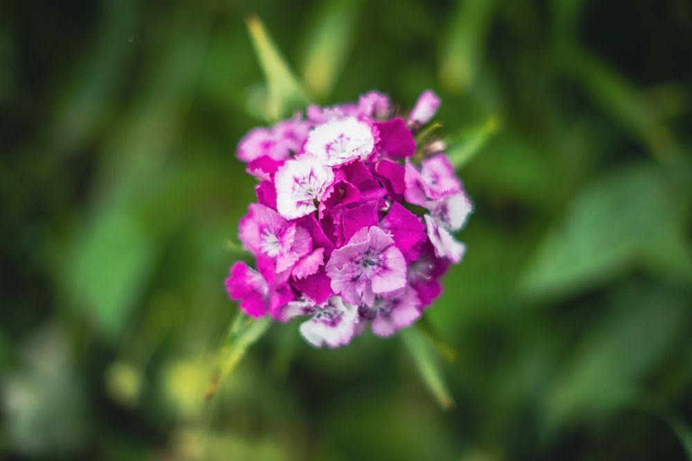 Photograph by Денис Пономарёв