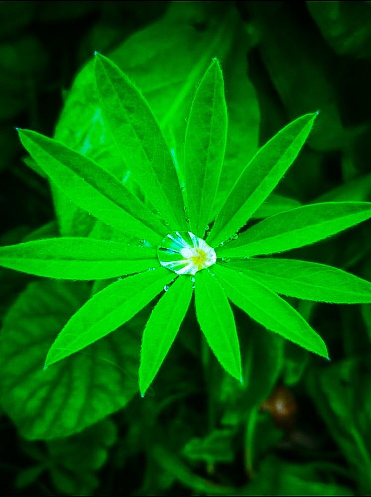 Photograph by Nikolett Mengyi