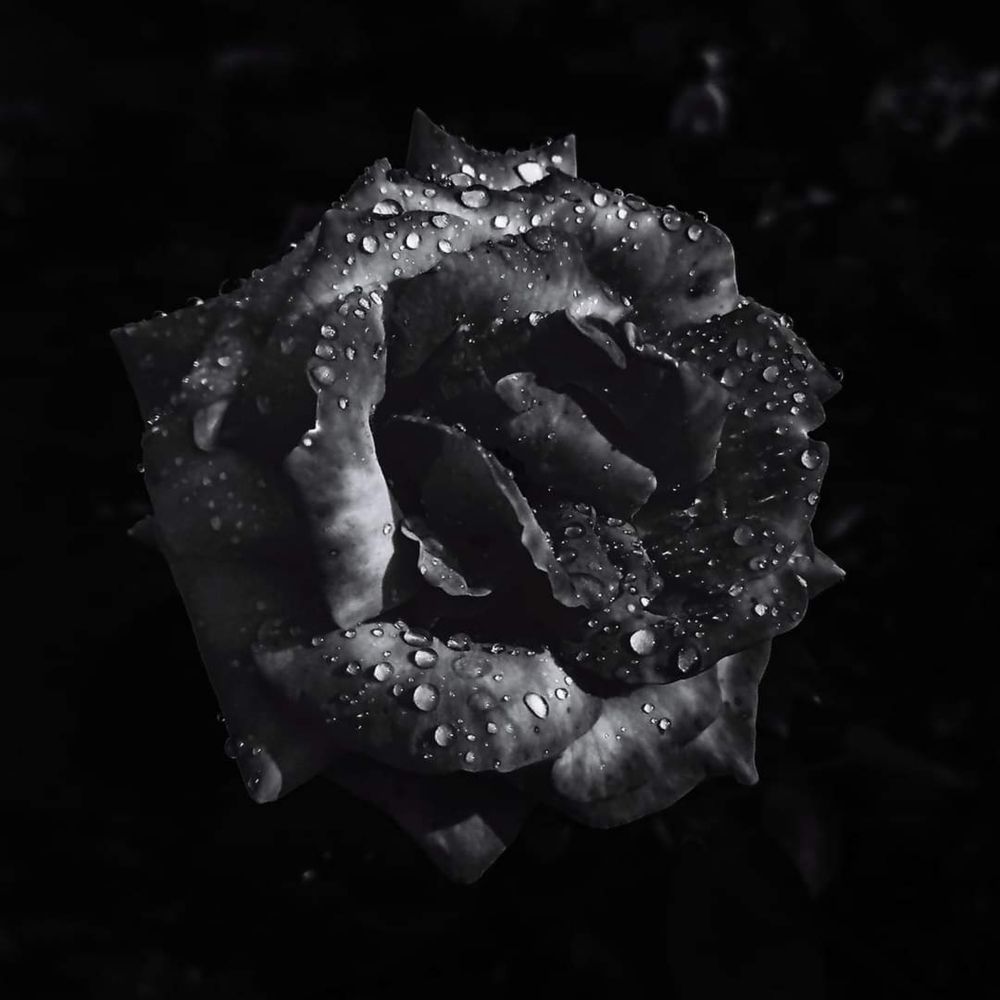 Photograph by Nikolett Mengyi