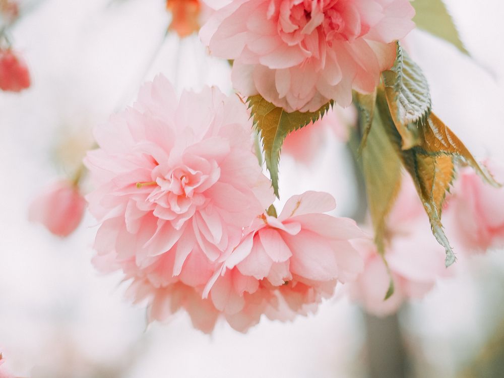 Photograph by Ирина Протченко