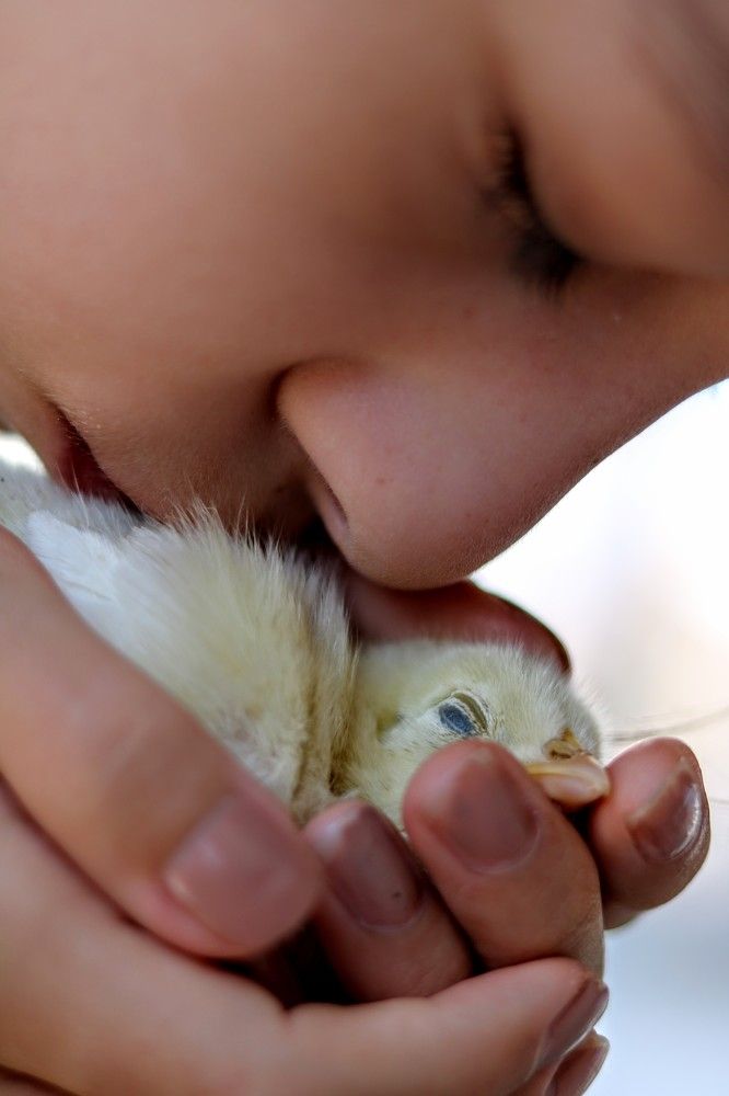 Photograph by volkan akan