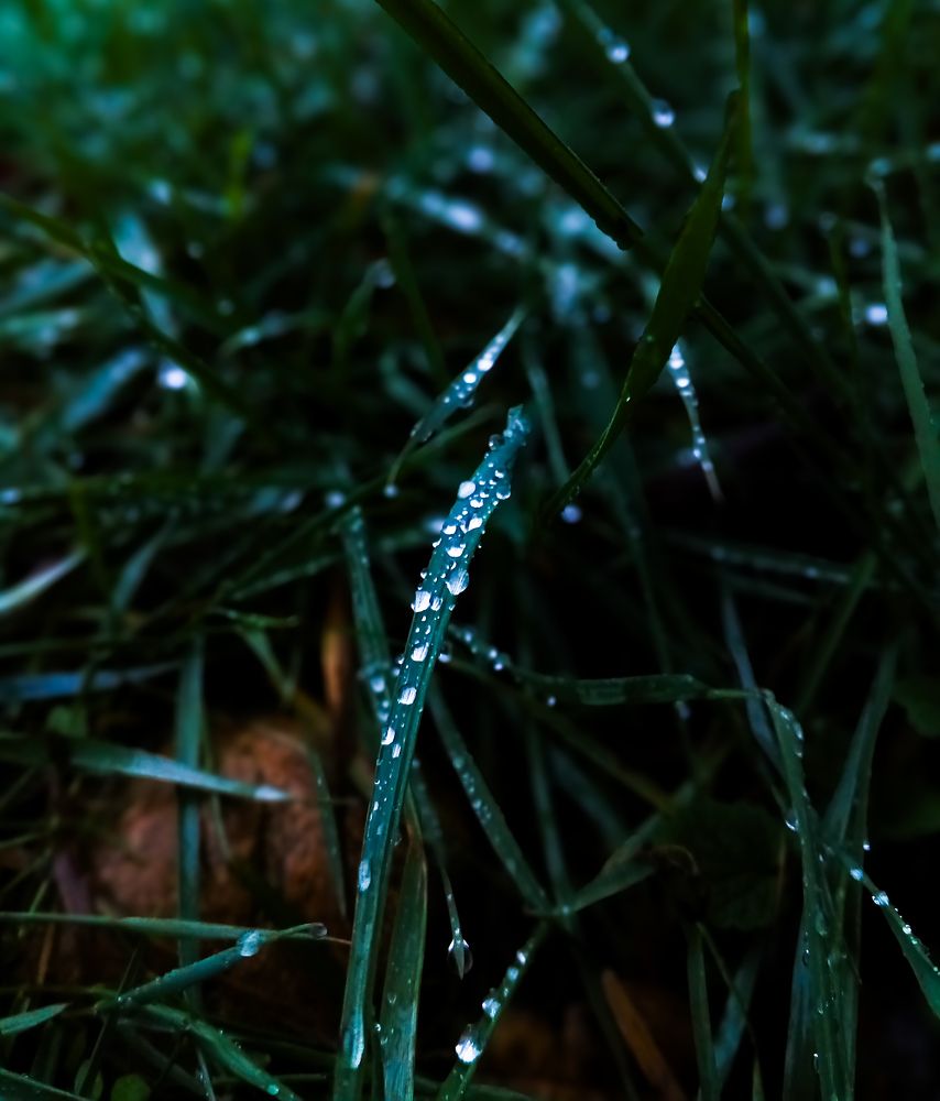 Photo #11456055