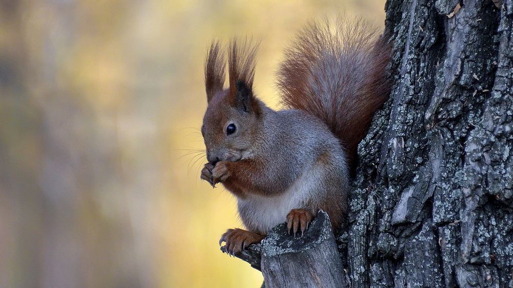 Ну, позёрка! Что с неё возмёшь?