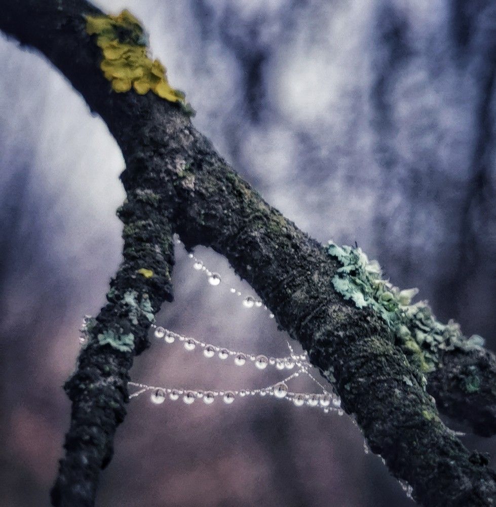 Photograph by Nikolett Mengyi