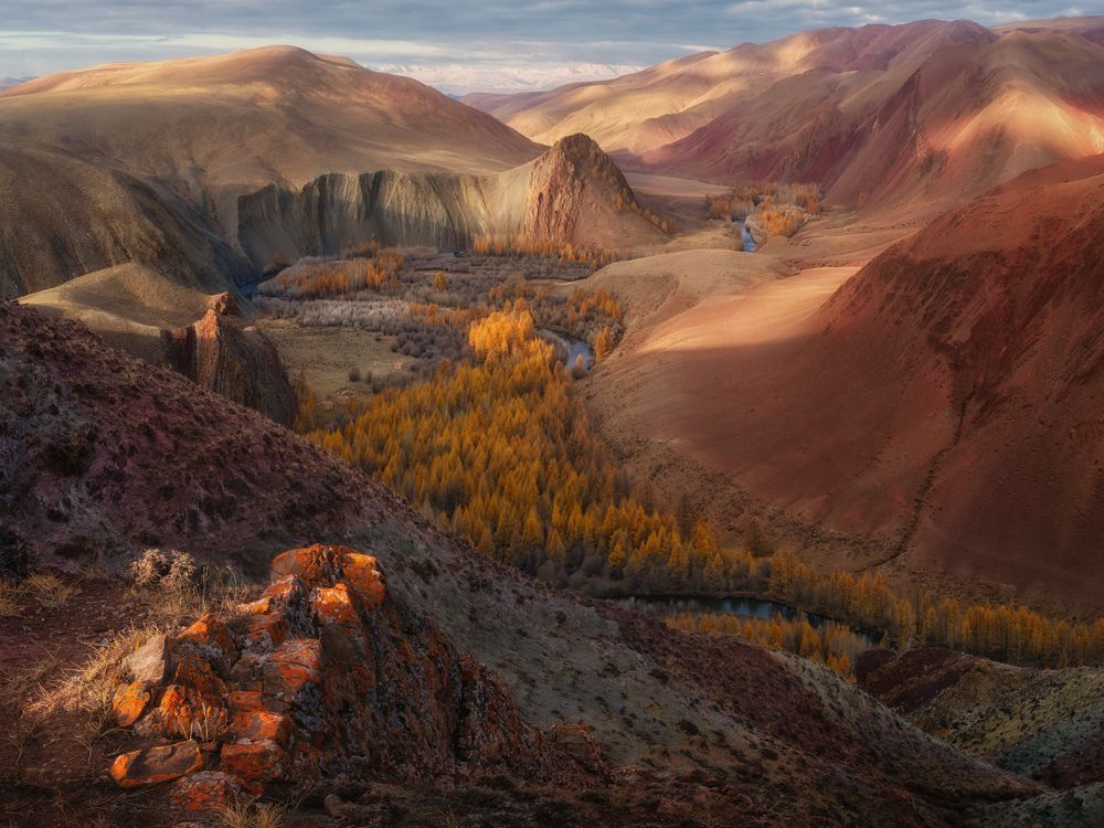 Photograph by Медянцев Дмитрий