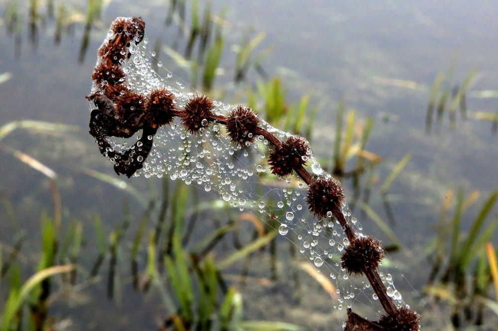 Фотография автора Николай Семенец