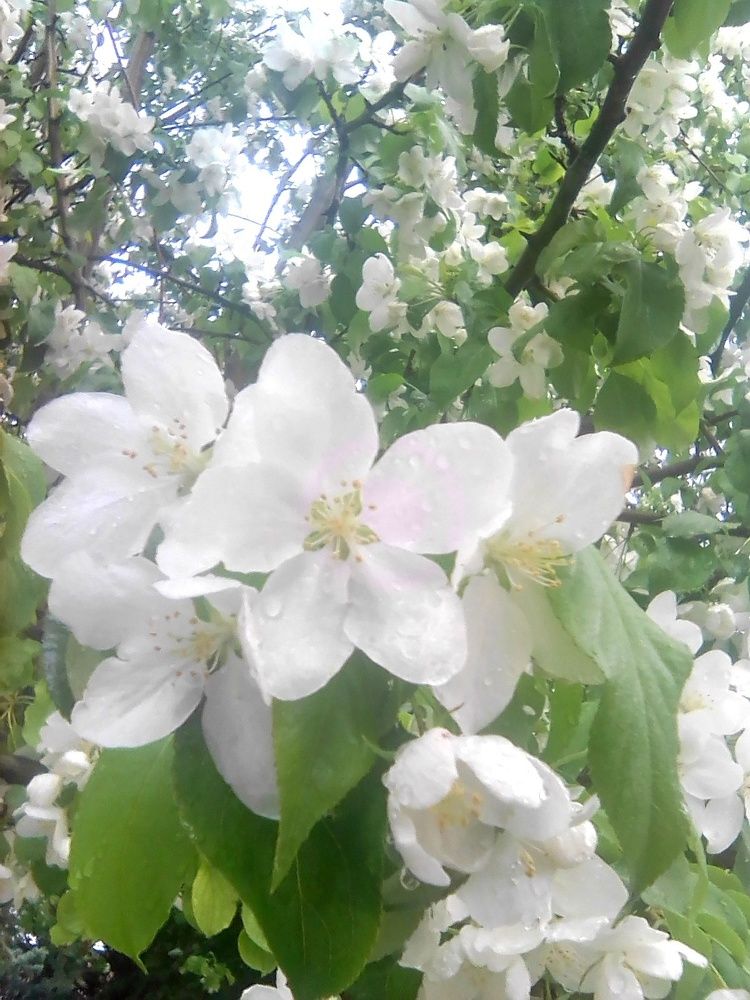 Photograph by Марта Васильева