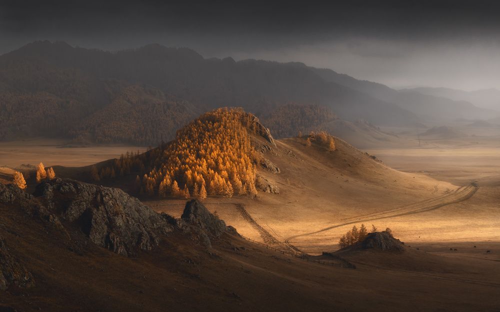 Photograph by Медянцев Дмитрий