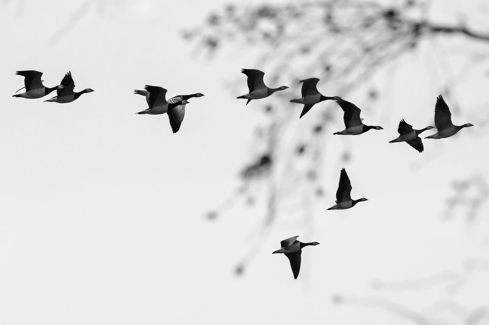 Фотография автора Юрий Макаров