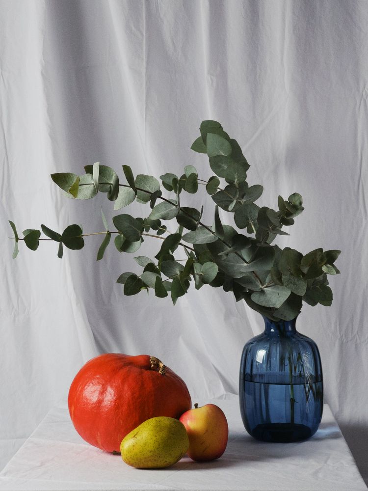 Photograph by Евгения