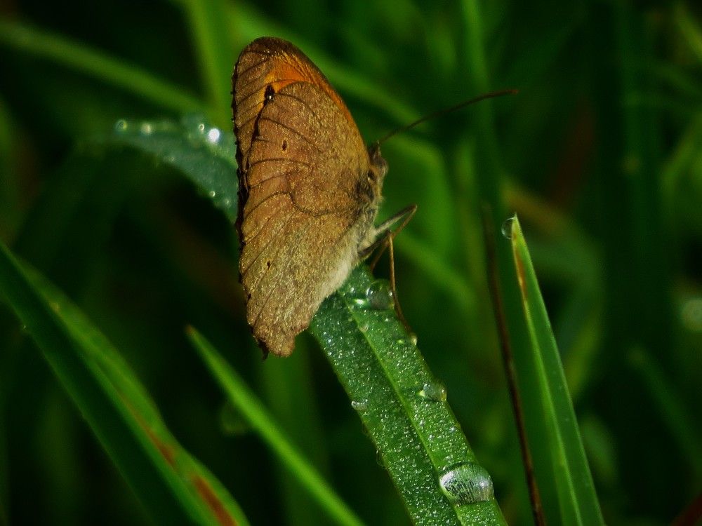 Photograph by Лариса Басова