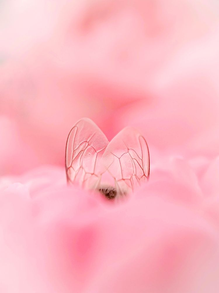 Photograph by Наталья Алексеева