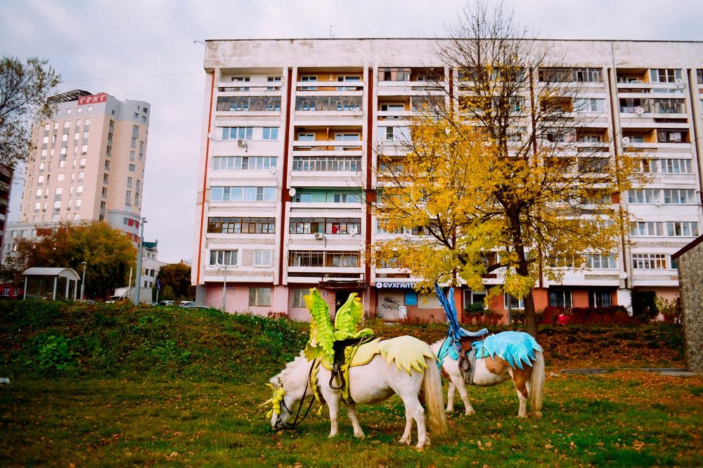 Photograph by Павел Рассадкин